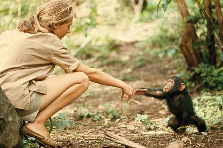 Mostra di National Geographic a Milano