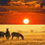 safari milano kenia compressed compressed