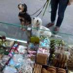 street food cani milano  compressed