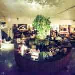 47315984 2113110232044392 4279350004637761536 o 23