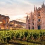 brunch milano