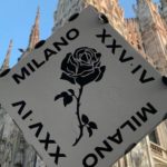 78911572 2786220938066648 8423033700475731968 o 24