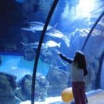 80693281 2830163730339035 5306181293887717376 n