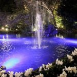 81529141 2871090516256423 7264299533159366656 n 3