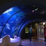 86665333 2943151182373622 9103444420962811904 o 1