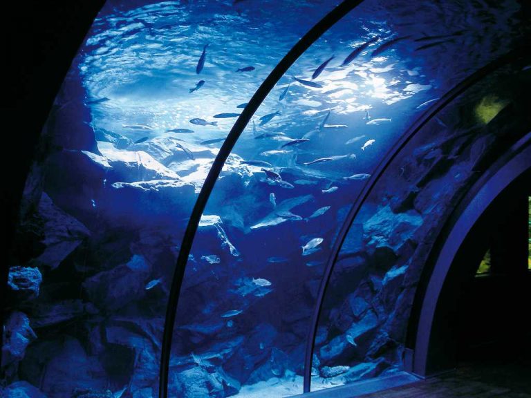 acquario milano 