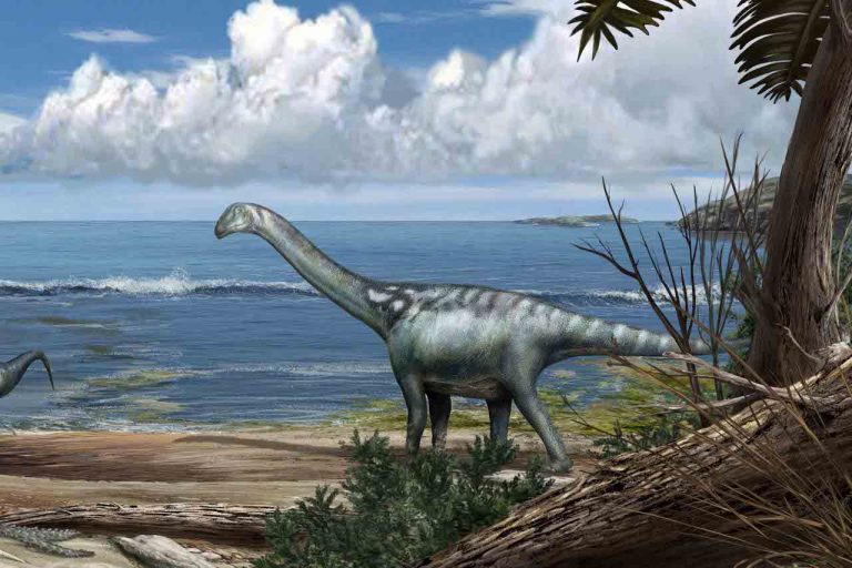 tito il dinosauro