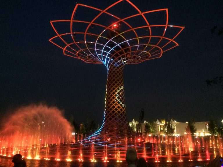 albero della vita 