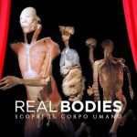 real bodies milano compressed