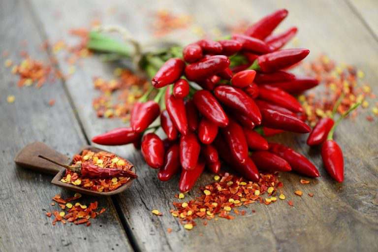festival del peperoncino compressed