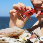 pescaria apre a milano compressed