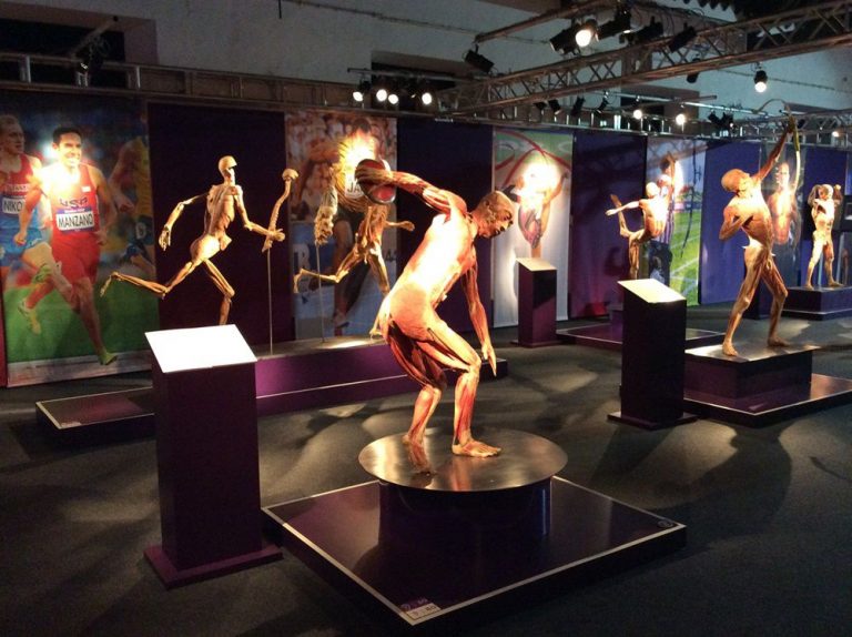 real bodies milano compressed