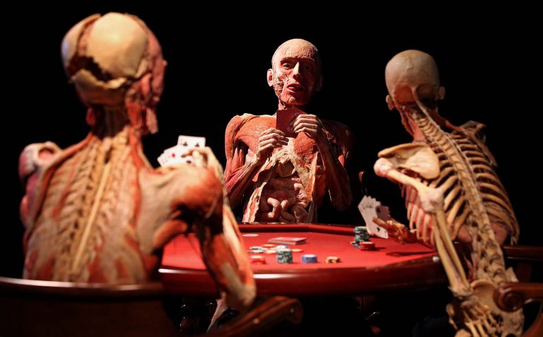 Real Bodies Milano