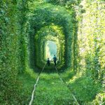 tunnel of love 43