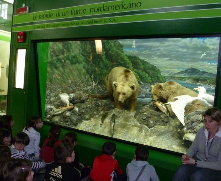 il nord america al museo civico di storia naturale