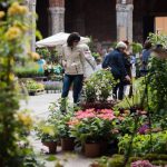 17342621 1361658337189589 5517347780411901012 n 6