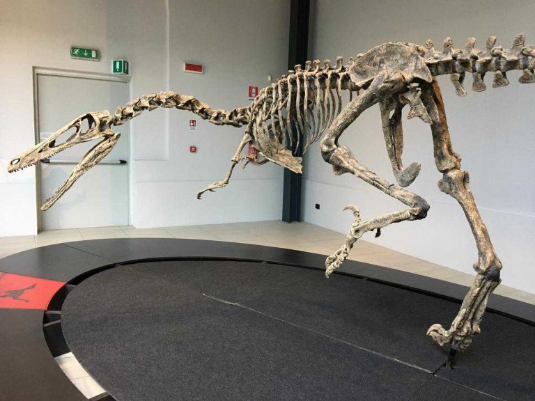 DINOSAURI 