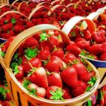 17097586 1350986514923438 7365736678060579898 o 1