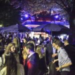 17990698 1397269256961830 3013413402256474667 n