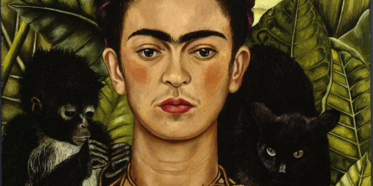 o FRIDA facebook