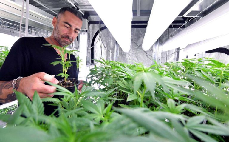 HEMP EMBASSY 
