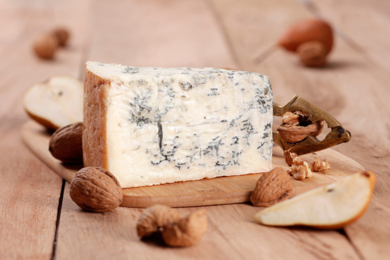 SAGRA DEL GORGONZOLA 1