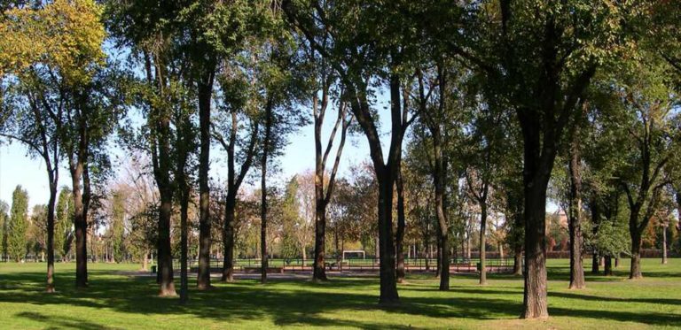 AMBIENTE 