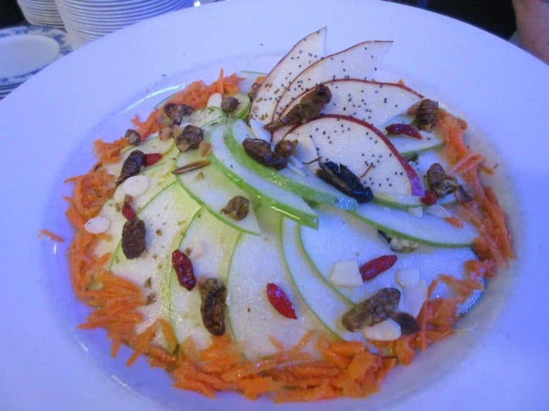NOVEL FOOD 