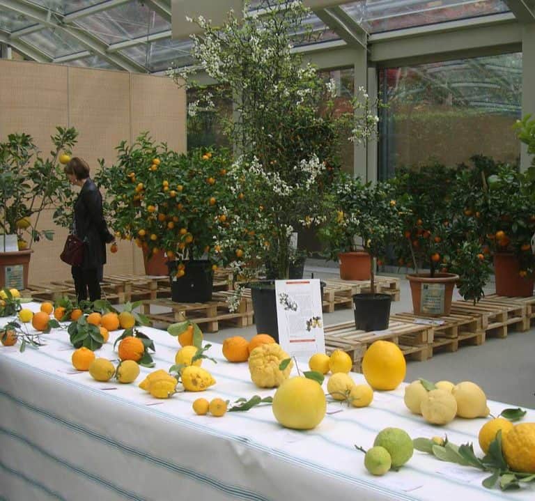 AgruMI 2018 