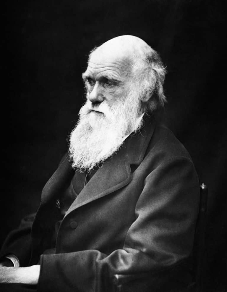 DARWIN DAY: appuntamenti dedicati al Padre dell’Evoluzionismo