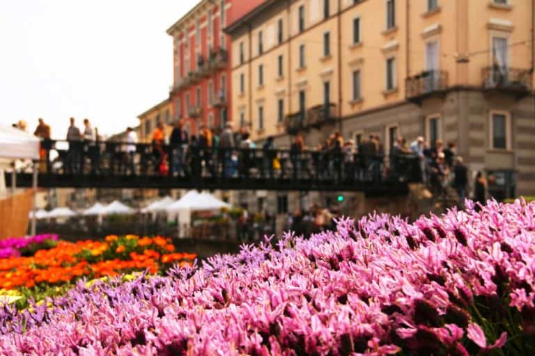 FIORI E SAPORI