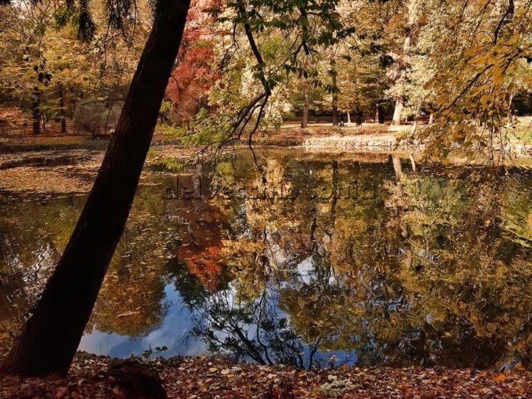 PARCO DI MONZA  1