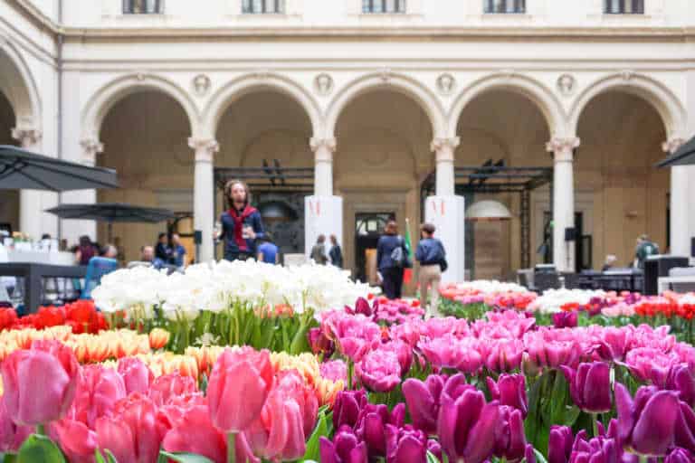 Milano Design Week 2024: al via la raccolta di idee, progetti e iniziative