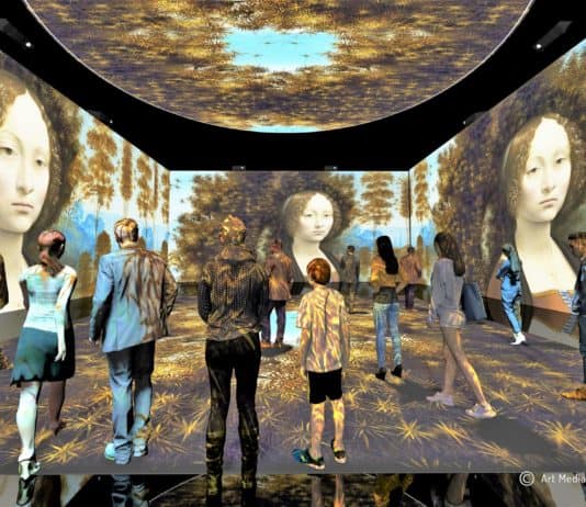 LEO 3D IMMERSIVE ROOM GINEVRA 3
