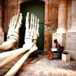 steve mccurry   onreading 5 italia e1579035550629 boost