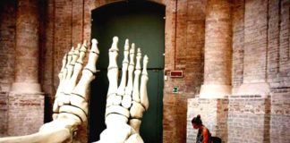 steve mccurry   onreading 5 italia e1579035550629 boost