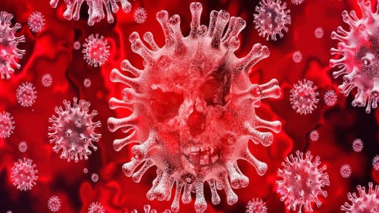 un intelligenza artificiale previsto nuovo coronavirus 2019 v3 423976 1280x720 1