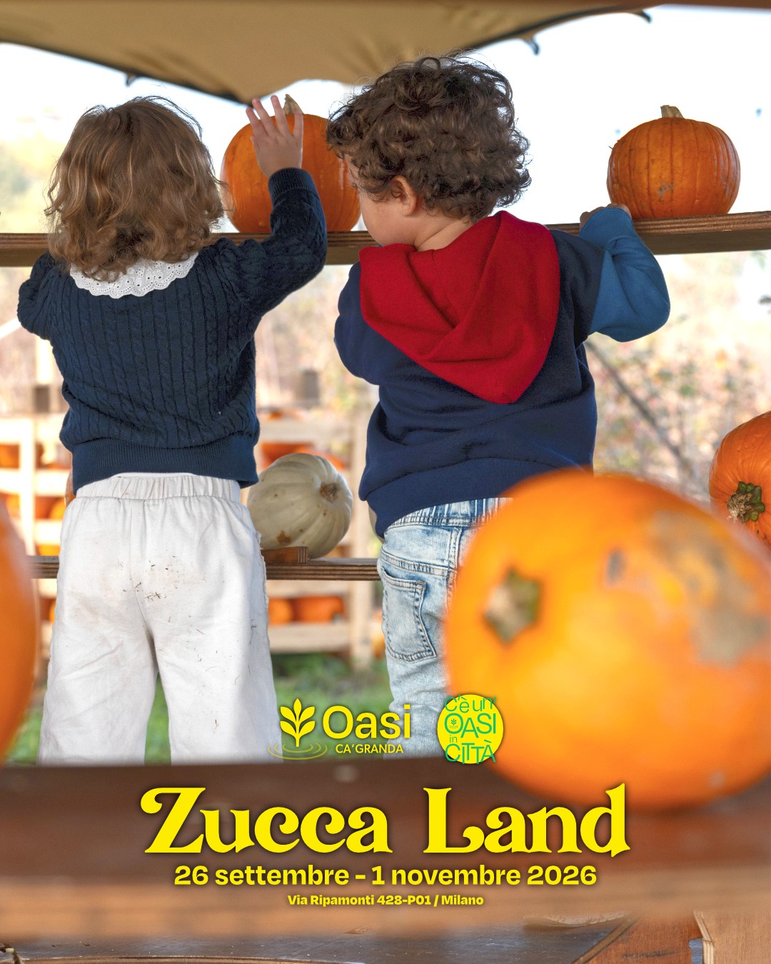 Bambini nel campo di zucche di Zucca Land Milano 2026 all'Oasi Ca' Granda