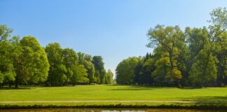 Parco di Monza