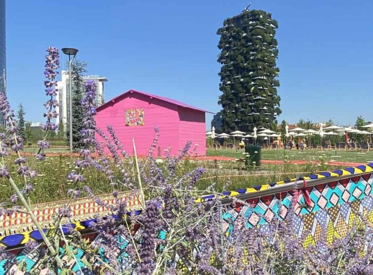 Summer@BAM: il programma degli eventi Summer@BAM: il programma degli eventi