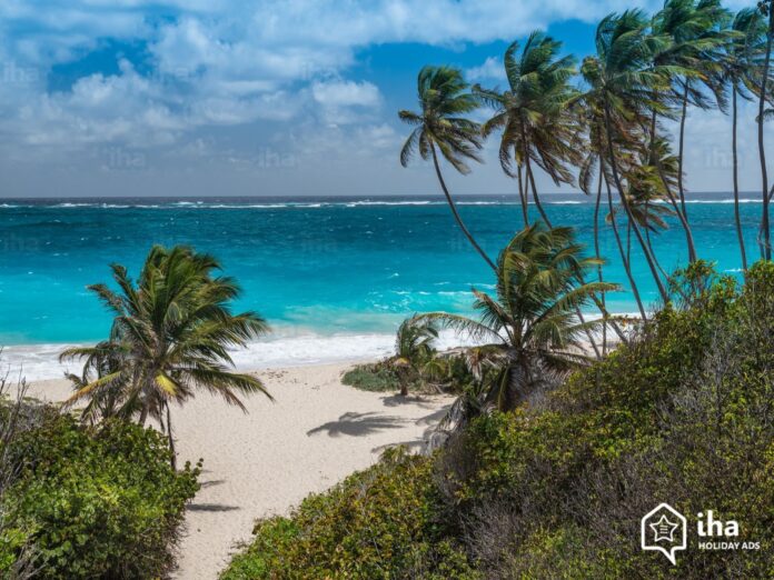 Barbados Spiaggia inferiore della baia