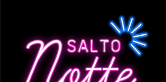 Logo saltonotte