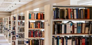 row of books in shelf 256541 scaled
