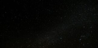 pexels francesco ungaro 998641 scaled