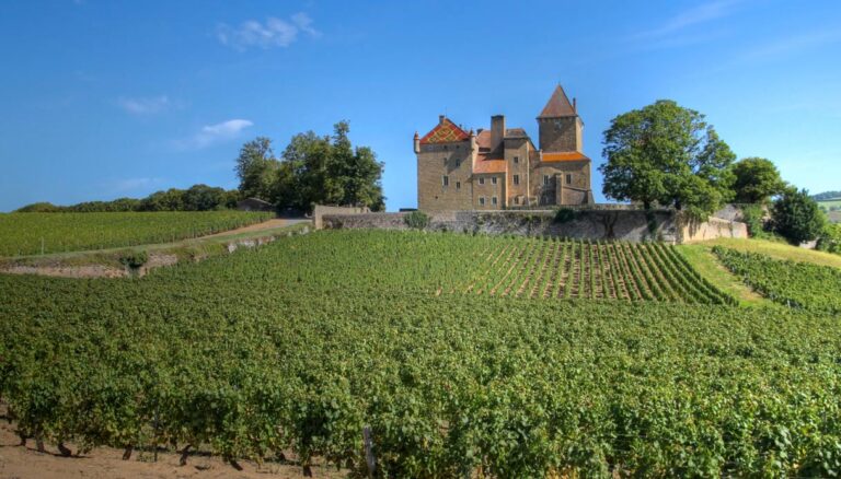 borgogna castello pierreclos thinkstock
