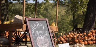 pumpkin patch