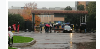 manifestazione traffico