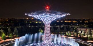 albero della vita expo bianco medici