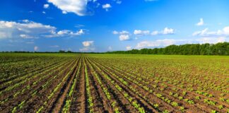 agricoltura biologica italia primato europeo