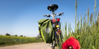 cycling 5178398 1920